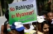 Мусульманское меньшинство рохинджа жестоко вытесняют из Мьянмы и не пускают в Бангладеш