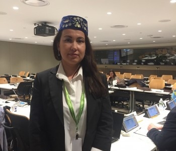 Гаяна Юксель в ООН: «Кримські татари — корінний народ, який живе на своїй історичній Батьківщині»