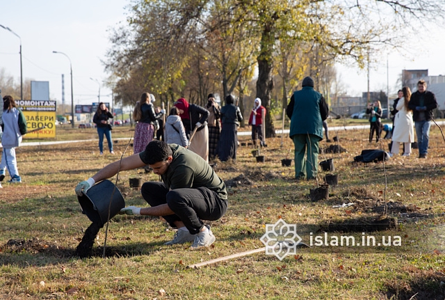 Київські мусульмани знов садять дерева