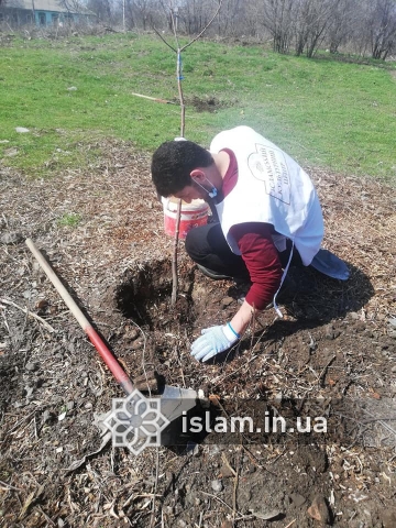 Благодаря усилиям украинских мусульман деревьев в стране стало больше