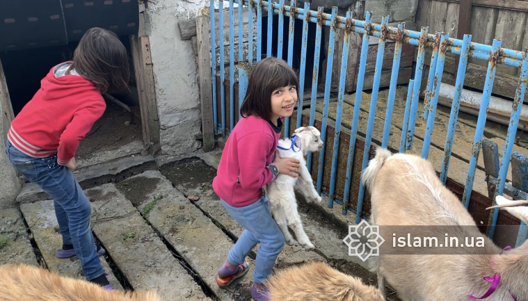  «Альраид» и ДУМУ «Умма» подарили коз нуждающимся семьям
