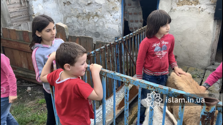  «Альраід» і ДУМУ «Умма» подарували кіз нужденним родинамм родинам