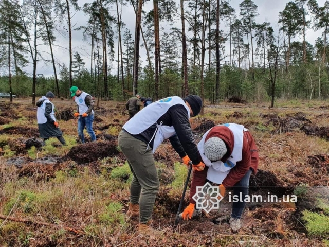 Благодаря усилиям украинских мусульман деревьев в стране стало больше