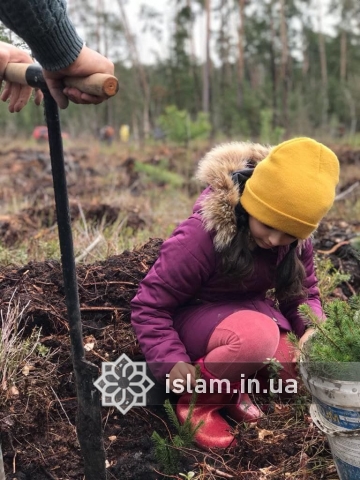 Завдяки зусиллям українських мусульман дерев в країні стало більше