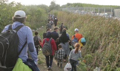 Хотят ли сирийские беженцы в Украину?