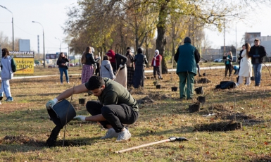 Киевские мусульмане снова высаживают деревья