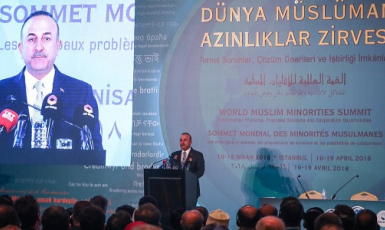 Чавушоглу: «Туреччина захищатиме права мусульман усього світу»