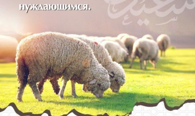 Украинские мусульмане могут делегировать общине жертвоприношение на Курбан-байрам