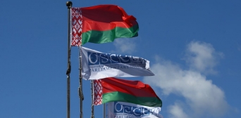 ПА ОБСЕ подготовила резолюцию о деоккупации Крыма и части Донбасса