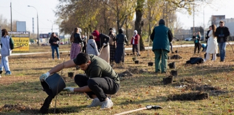 Киевские мусульмане снова высаживают деревья