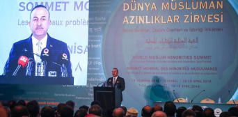 Чавушоглу: «Турция будет защищать права мусульман всего мира»