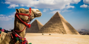 В Єгипет — за електронною візою