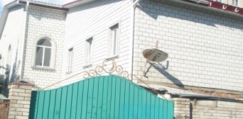 Кішка — це єдина тварина, яку пустять в мечеть на вулиці Матроса Кошки